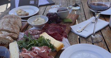 Wine Tasting Dornier